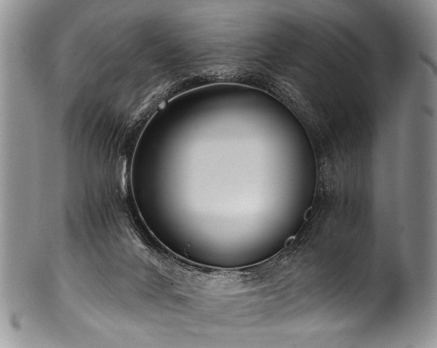 X0000101120024200806261447