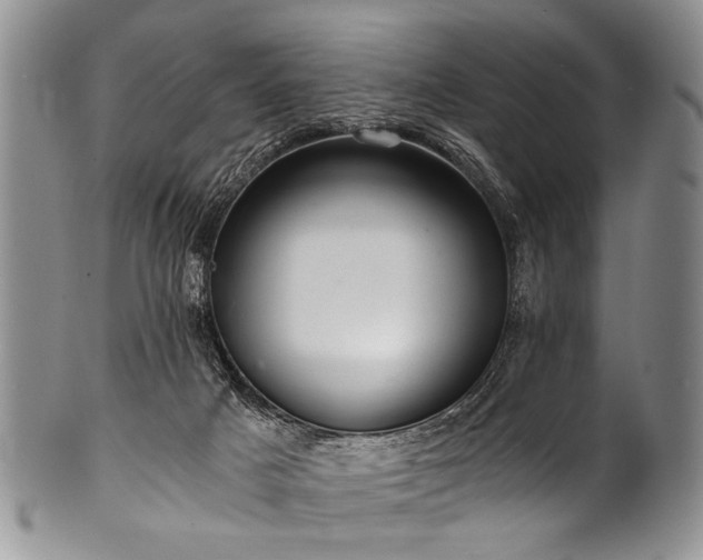 X0000101120025200806261447