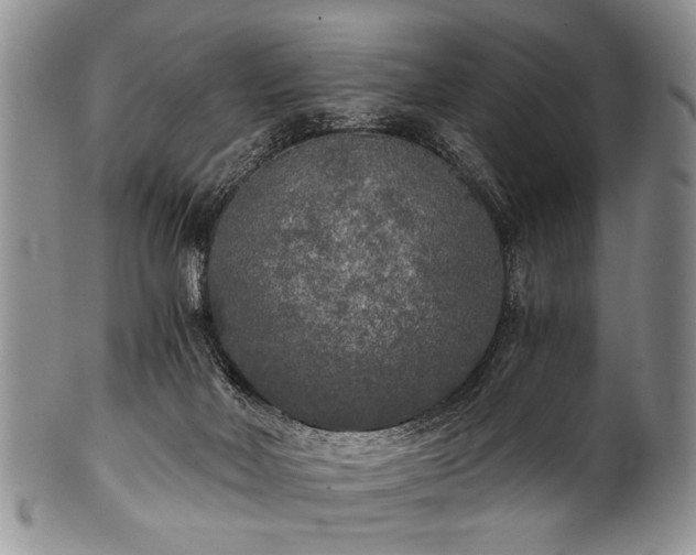 X0000101120026200806261447
