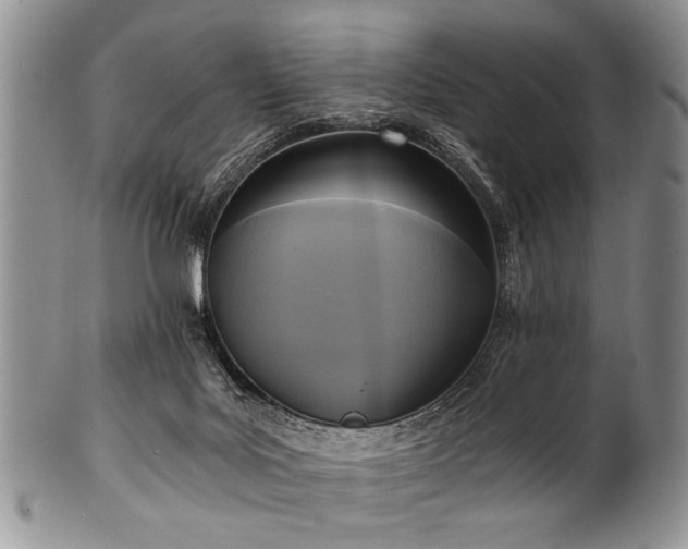 X0000101120027200806261447