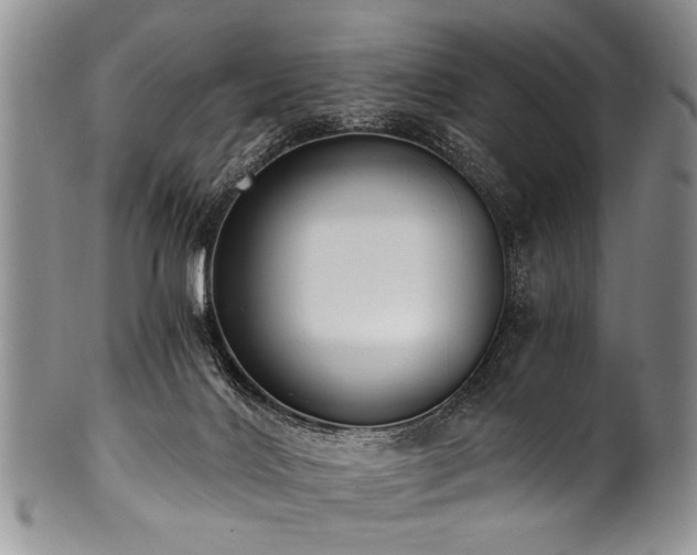X0000101120028200806261447