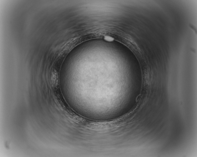 X0000101120029200806261447