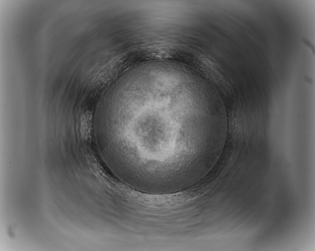 X0000101120030200806261447