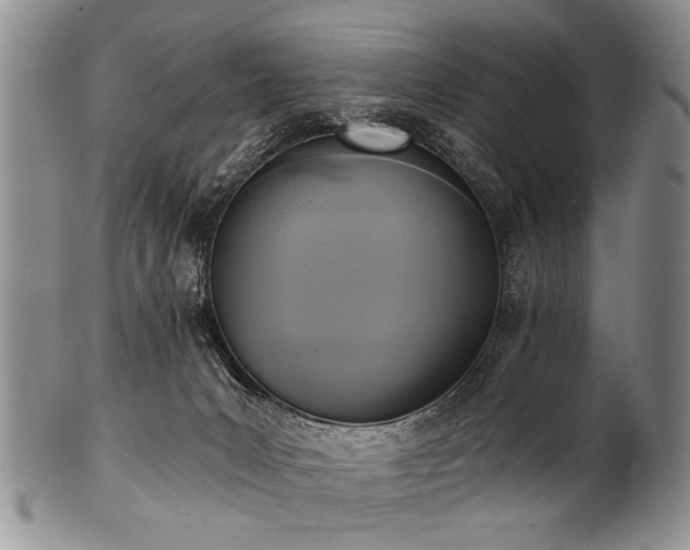 X0000101120031200806261447