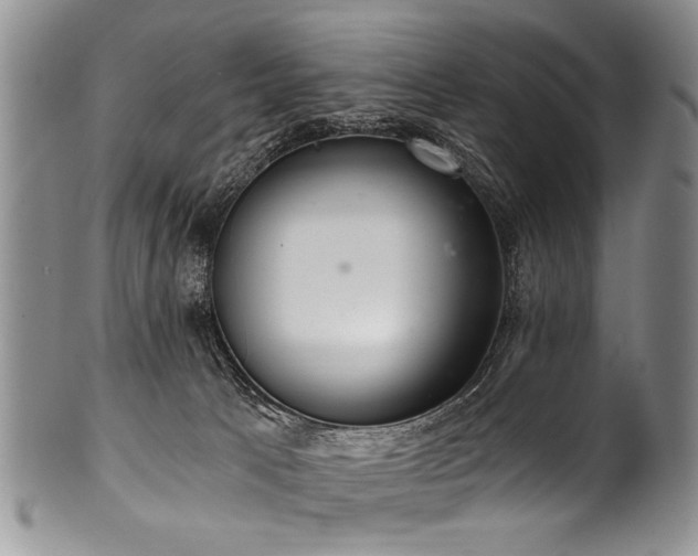 X0000101120033200806261447