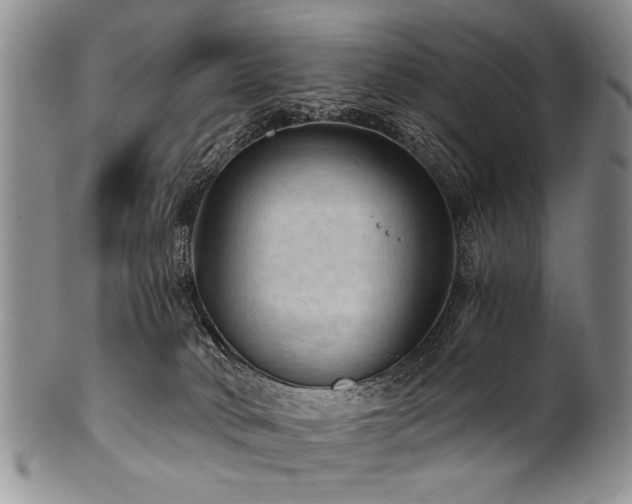 X0000101120034200806261447