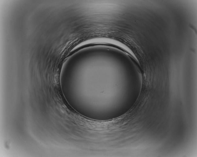 X0000101120035200806261447