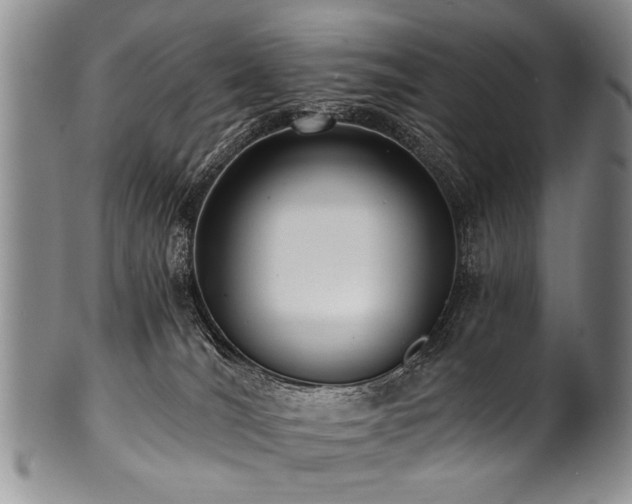X0000101120036200806261447