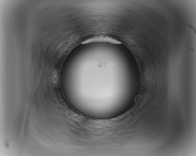 X0000101120037200806261447