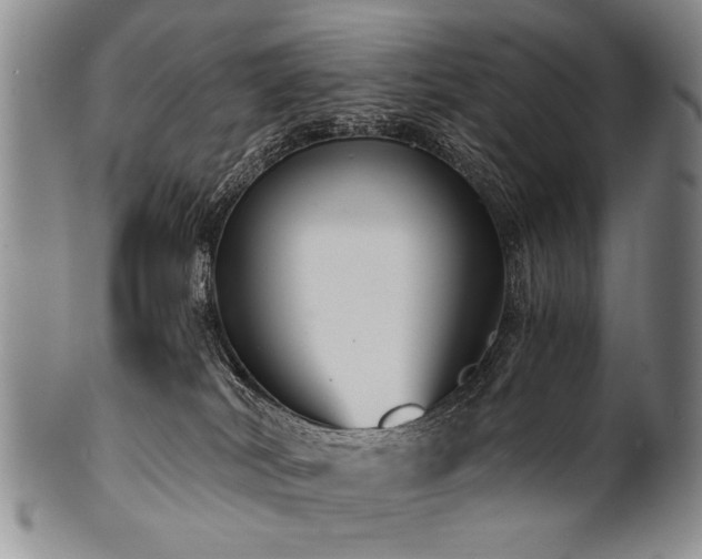 X0000101120038200806261446