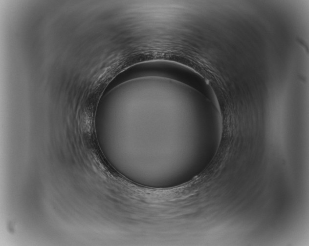 X0000101120039200806261446