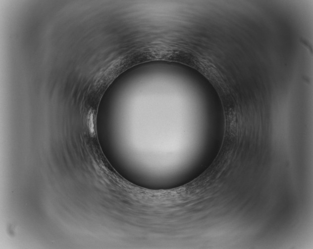X0000101120042200806261446