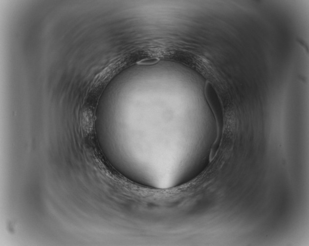 X0000101120043200806261446