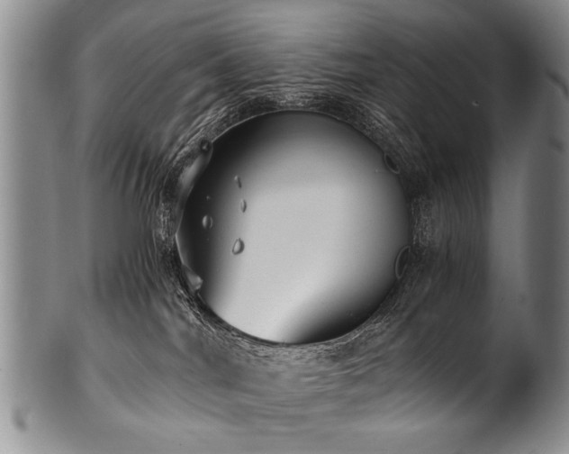 X0000101120044200806261446