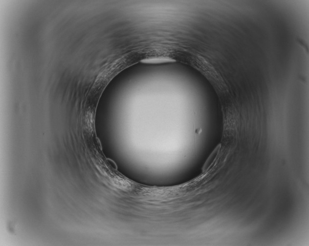 X0000101120045200806261446