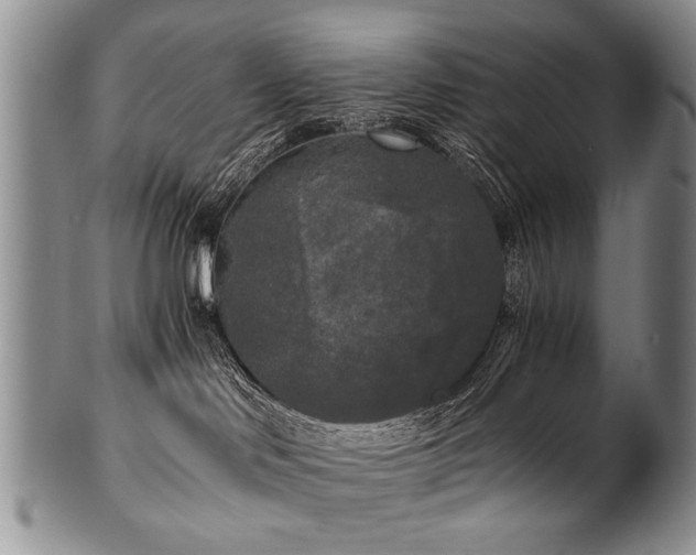 X0000101120046200806261446