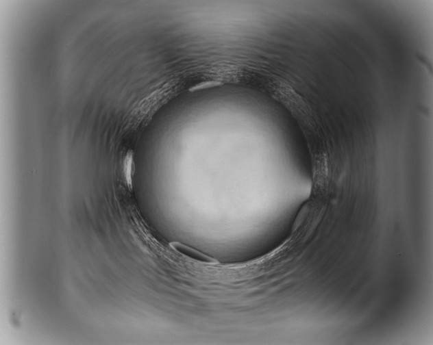 X0000101120047200806261446