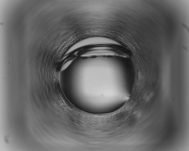 X0000101120048200806261446
