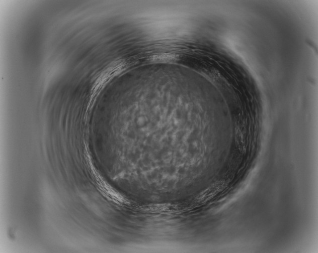 X0000101120049200806261446