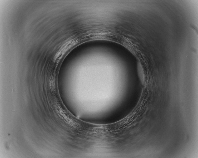 X0000101120050200806261446