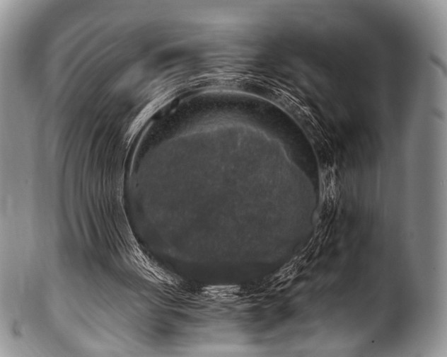 X0000101120051200806261446