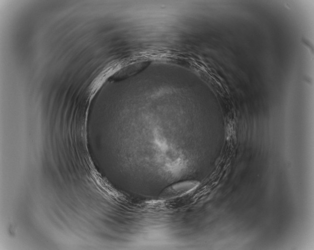 X0000101120052200806261446