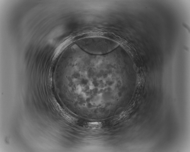X0000101120053200806261446