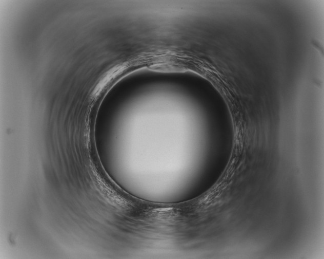 X0000101120054200806261446