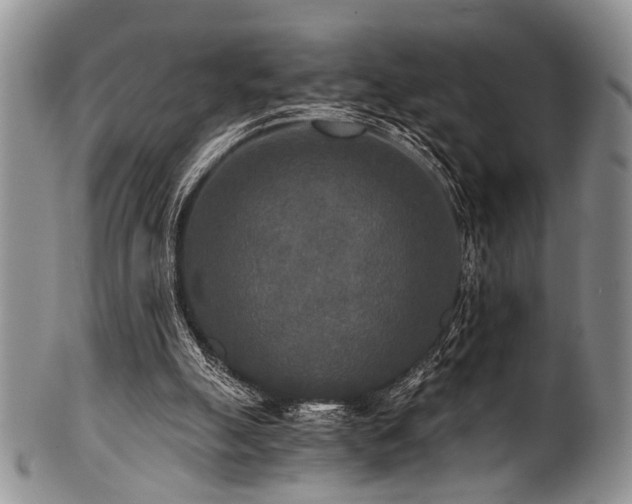 X0000101120055200806261446