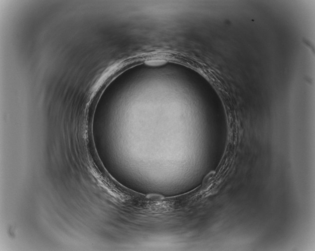 X0000101120056200806261446