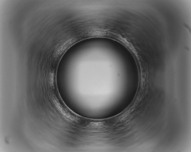 X0000101120057200806261446