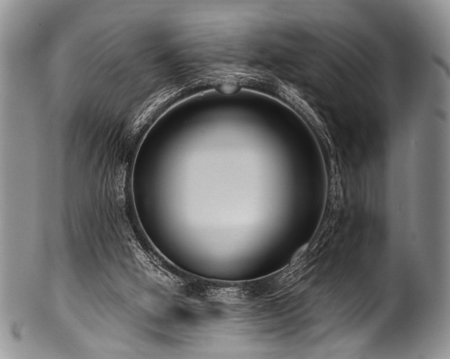 X0000101120058200806261446