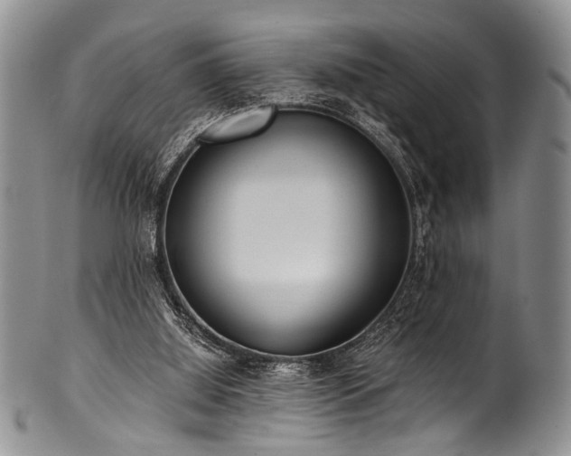 X0000101120060200806261446