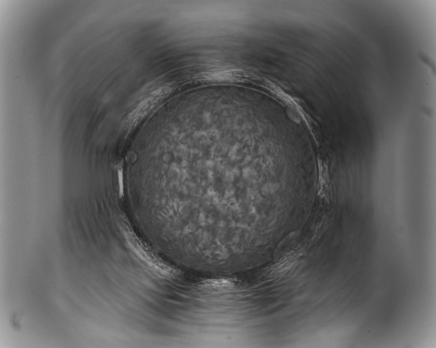 X0000101120061200806261446
