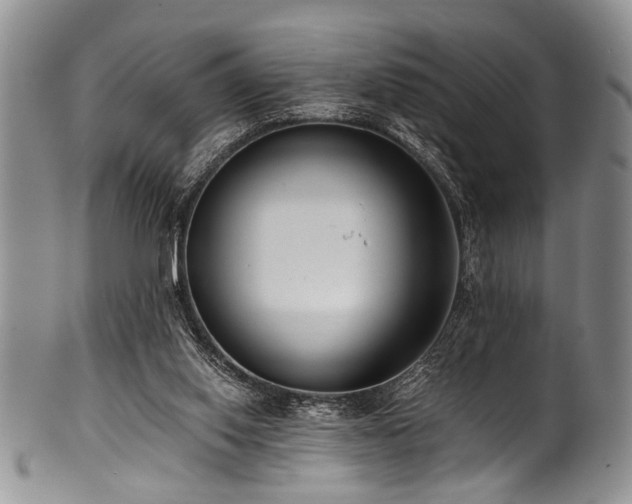 X0000101120062200806261446