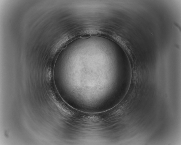 X0000101120063200806261446