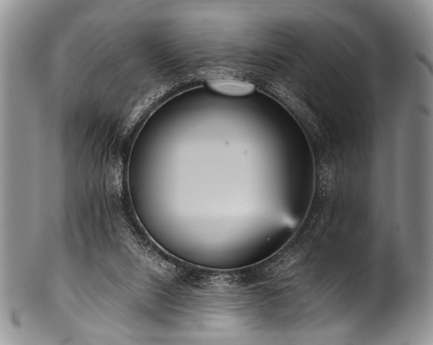 X0000101120064200806261446