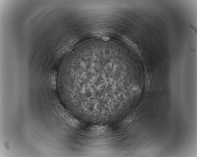 X0000101120065200806261446