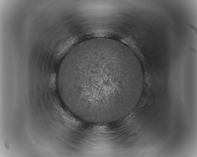 X0000101120066200806261446
