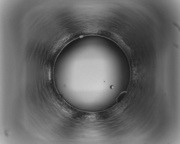X0000101120068200806261446
