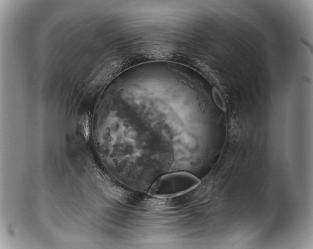 X0000101120069200806261446