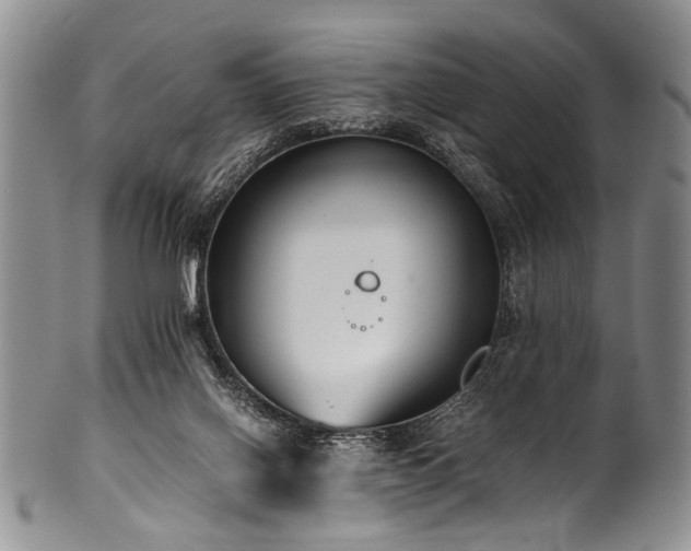 X0000101120070200806261446