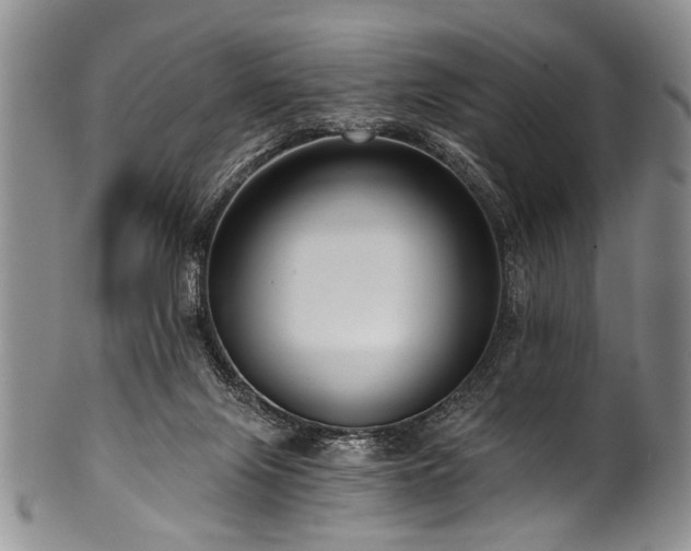 X0000101120071200806261446