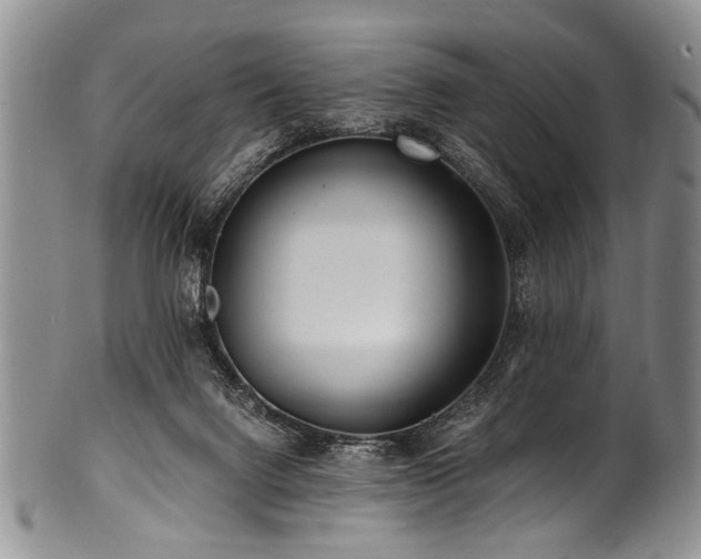 X0000101120072200806261446