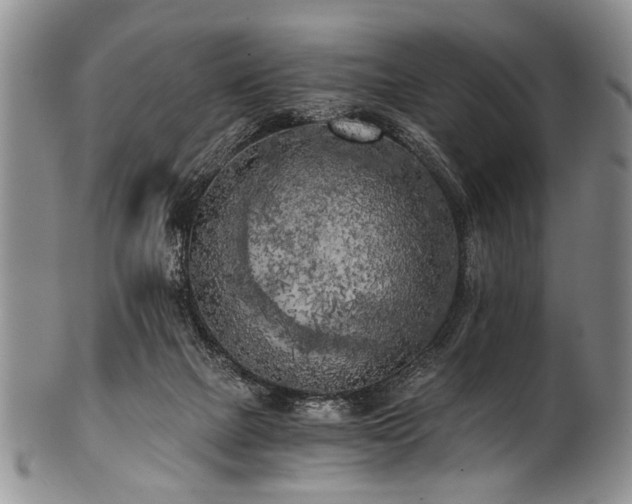 X0000101120073200806261446