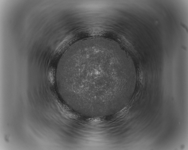 X0000101120074200806261446