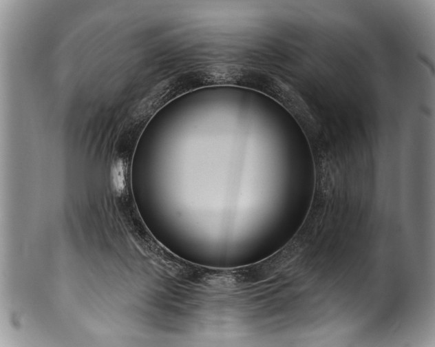 X0000101120075200806261446