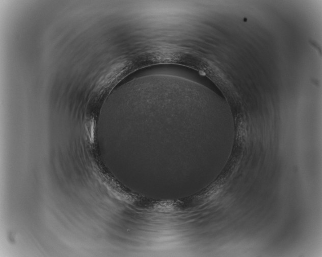 X0000101120076200806261446