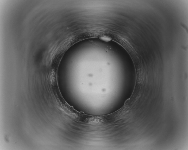 X0000101120077200806261446