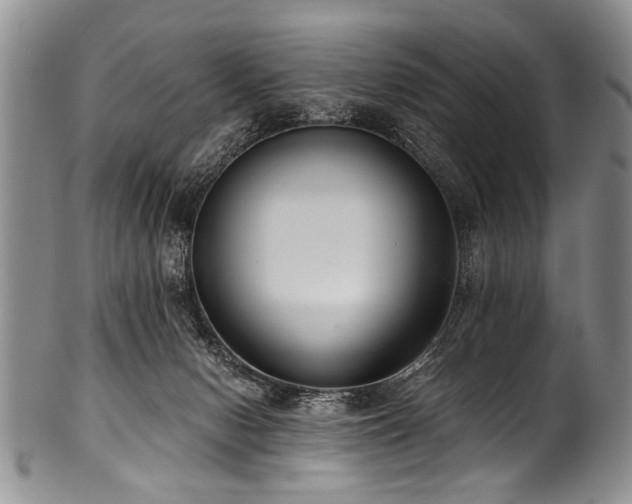 X0000101120078200806261446